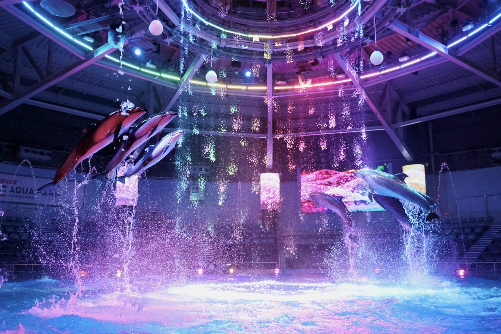 アクアパーク ピッカルバトロス ジャングル アクア パーク - ネバーランド ハルガダ