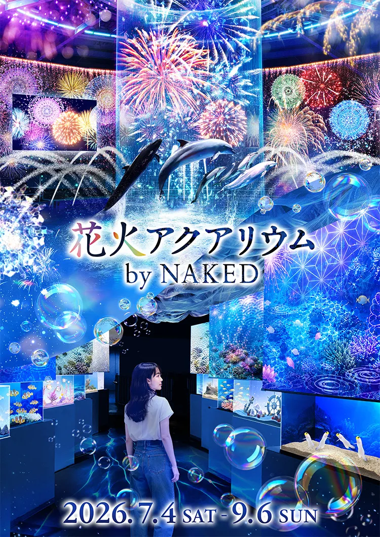 花火アクアリウムバイネイキッド,アクアパーク品川