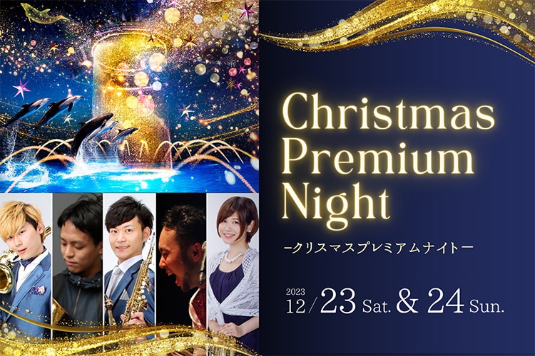Christmas Premium Night
