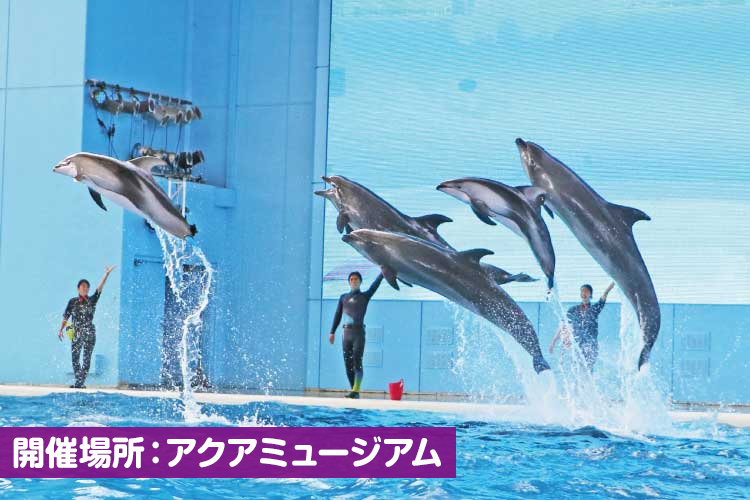 海の動物たちのショー～SMILE～