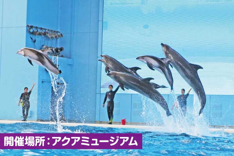 海の動物たちのショー~SMILE~