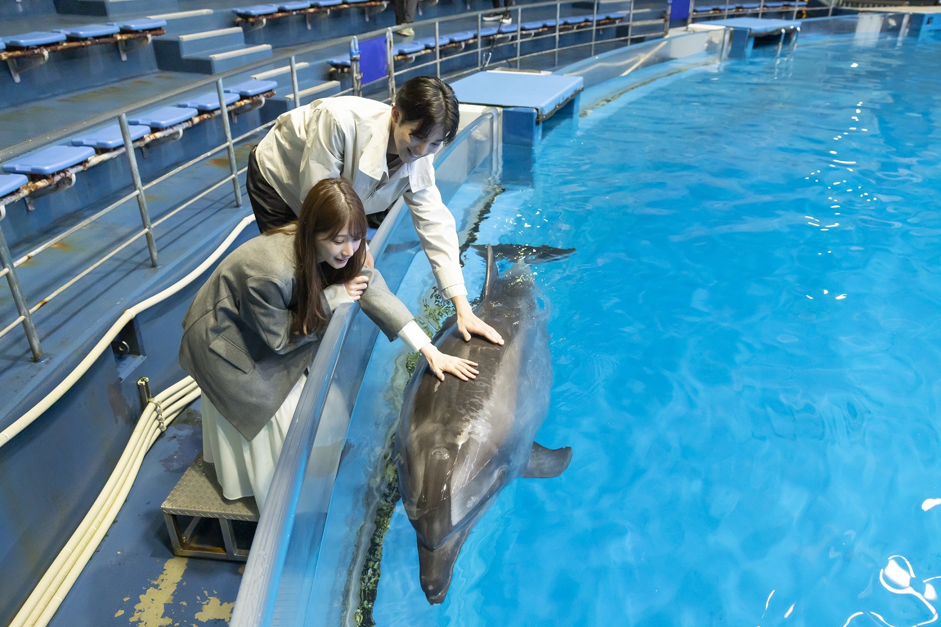 ヒーリング 音響 動く イルカ グランブルー インテリア 水族館 ディスプレイ アクアライブ｜神戸須磨シーワールド公式ホームページ