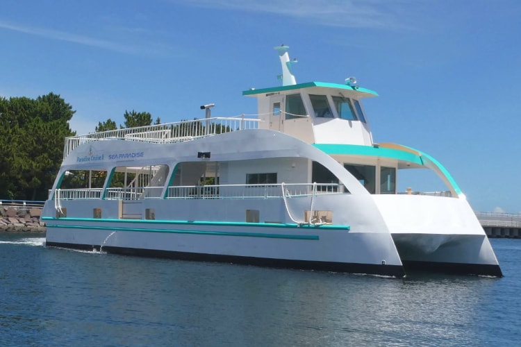 Paradise Cruise images