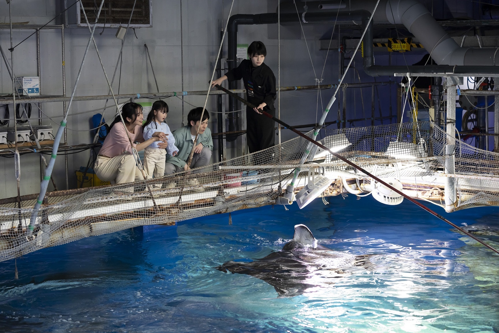 ワインバーグ がんの生物学 Amazon.co.jp: ワインバーグ がんの生物学(原書第2版) : 武藤 誠