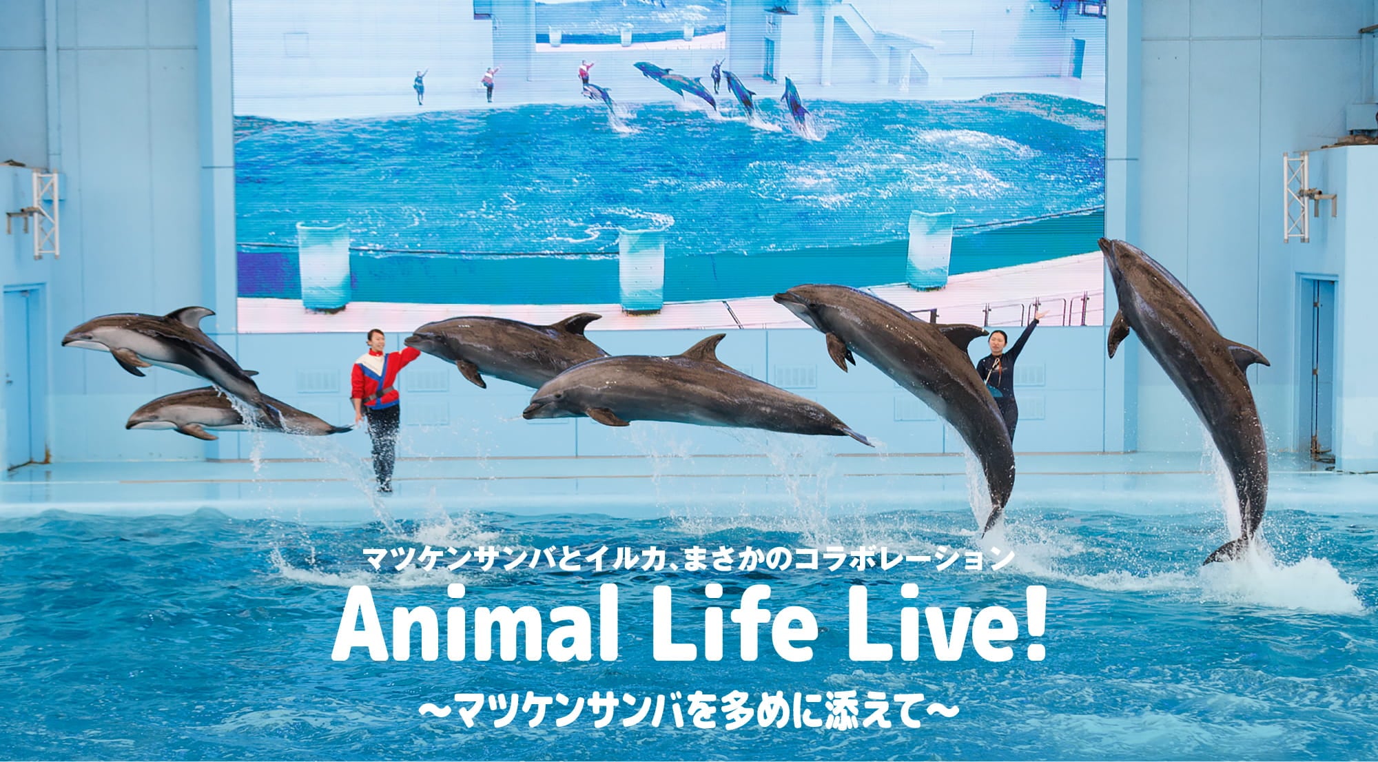 マツケン釣り上げフォト