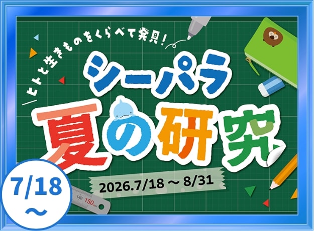 シーパラ夏の研究