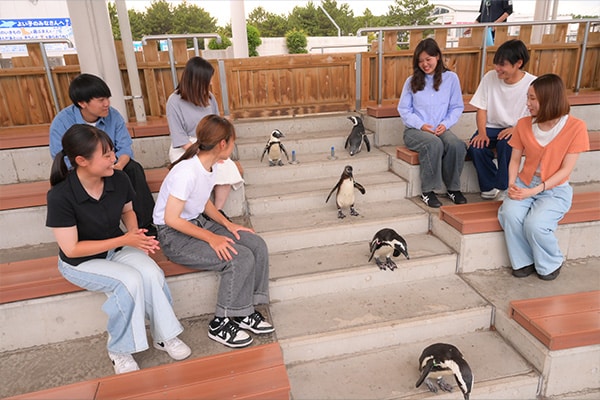 ペンギン