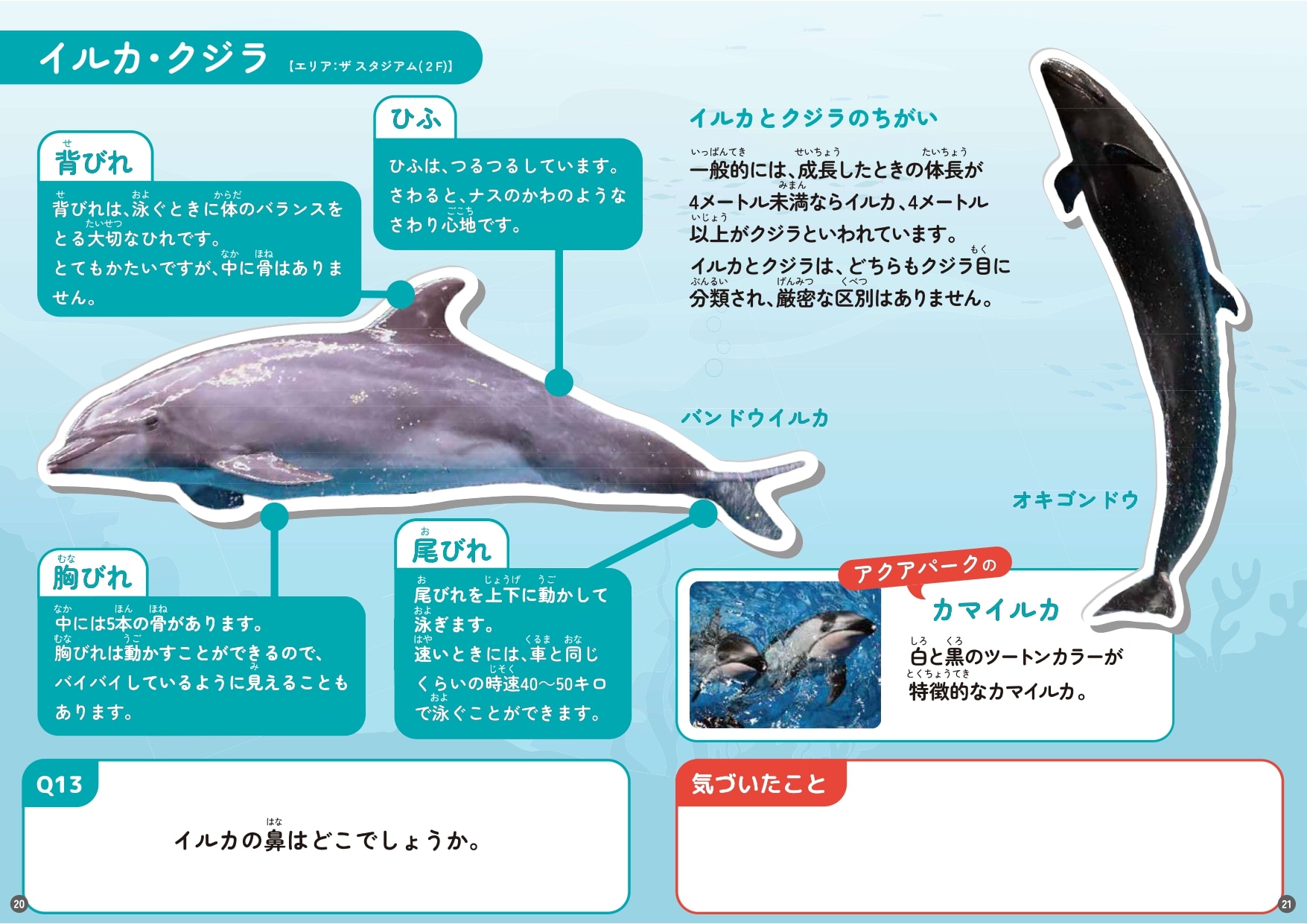 夏の学習ノート