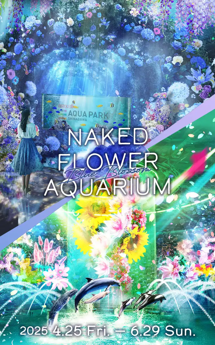 NAKEDフラワーアクアリウム,アクアパーク品川