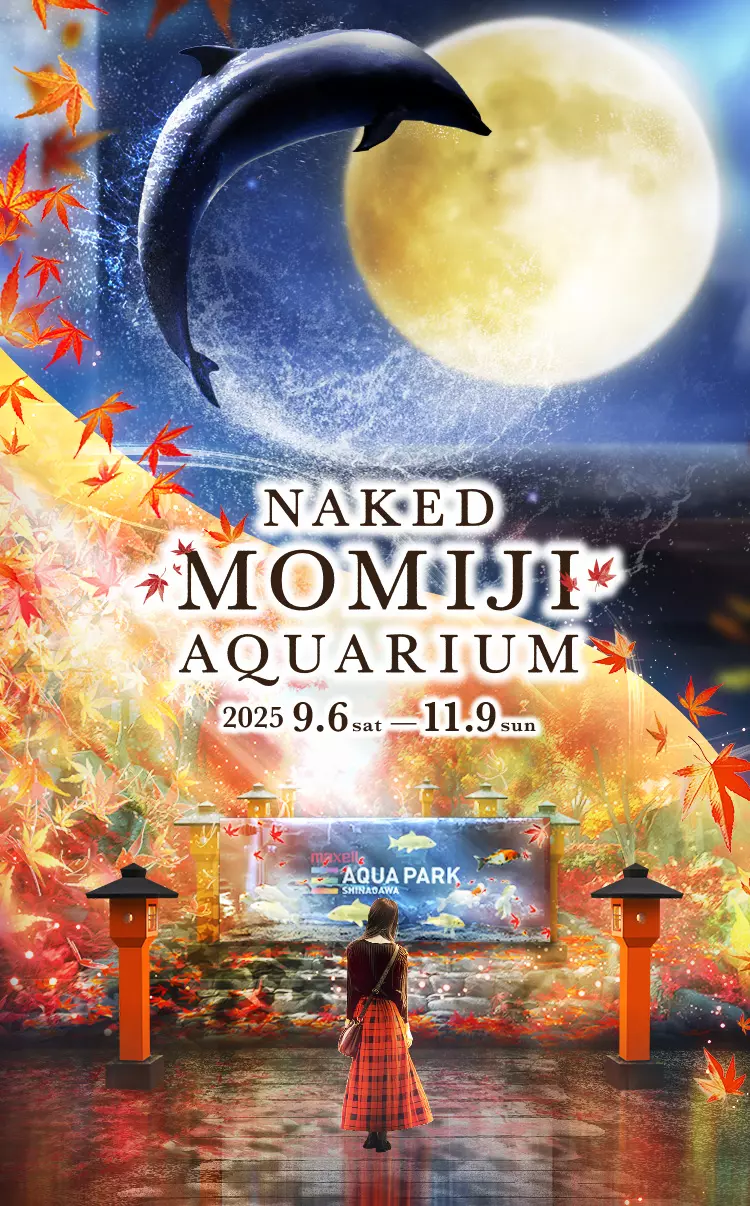 NAKED紅葉アクアリウム,アクアパーク品川