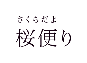 桜便り さくらだより