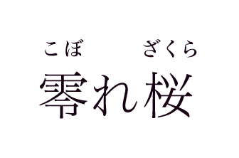 零れ桜 こぼれざくら